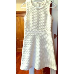 Ann Taylor LOFT dress